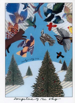 Songsters of the Sky - 2016 Holiday Card